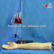 ISO Advanced Lifelike IV Arm Model, iv injection training